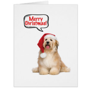 Carte de Noël Jumbo Père Noël Pups