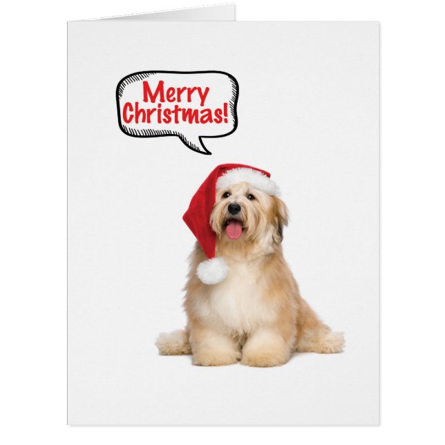 Carte de Noël Jumbo Père Noël Pups (Devant)