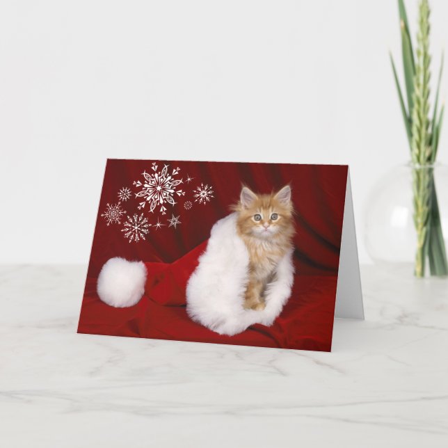 Carte de Noël Kitten (Devant)