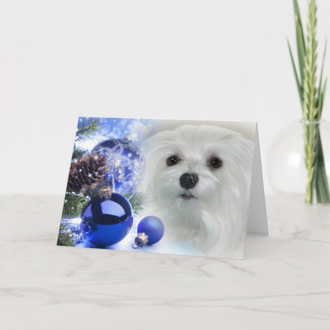 Carte de Noël maltaise (Devant)