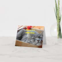 Carte de Noël - Merlin le chat en train de somnole
