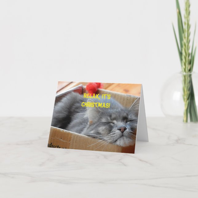 Carte de Noël - Merlin le chat en train de somnole (Devant)