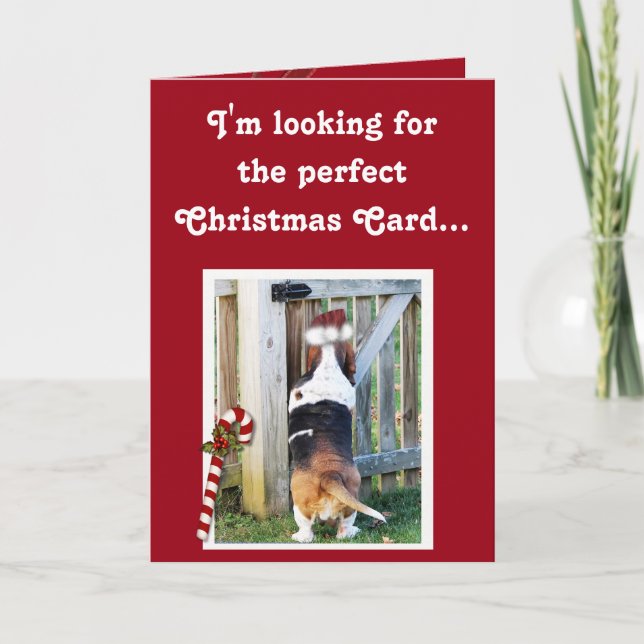 Carte de Noël mignonne avec Basset, Sucre de canne (Devant)