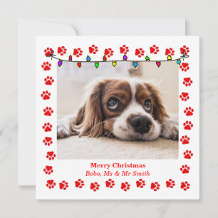 Carte de Noël mignonne avec photo et pattes person