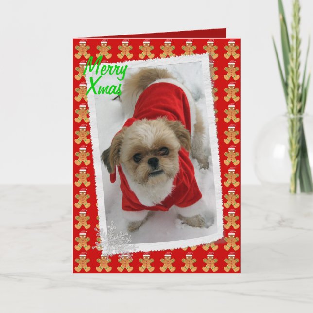 carte de Noël mignonne de chien de père Noël de (Devant)