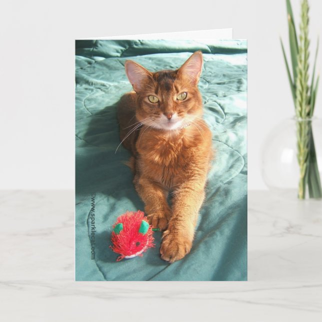 Carte de Noël Mousey de Catmas (Devant)