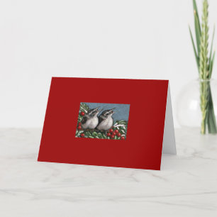 CARTE DE NOËL : OISEAUX : ILLUSTRATION