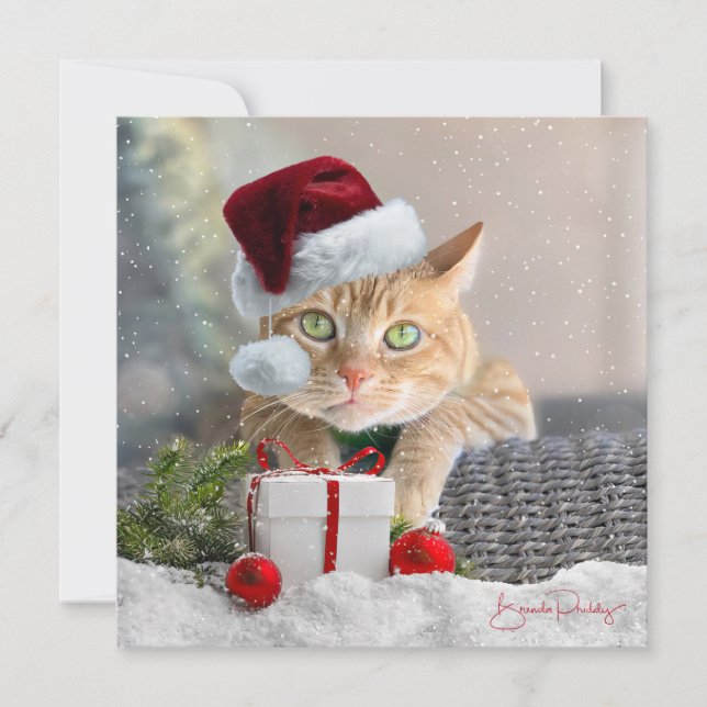 Carte de Noël orange Tabby FLAT 5,25 pouces (Devant)