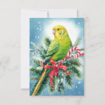 Carte de Noël Parakeet Sucre de canne