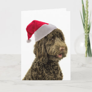 Carte de Noël père Noël Labradoodle