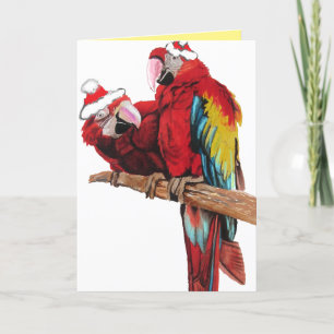 Carte de Noël père Noël Macaws Red Parrot