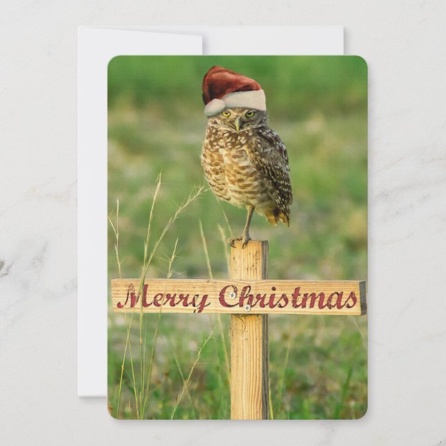 Carte de Noël père Noël Owl Grand 5 x 7 (Devant)