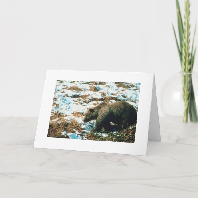 Carte de Noël personnalisable Ours Grizzly hiver (Devant)