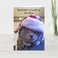 CARTE DE NOËL PERSONNALISABLE POUR CHAT