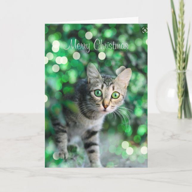 Carte de Noël personnalisée Cute Kitten (Devant)