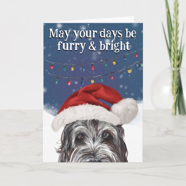 Carte de Noël personnalisée du chien d'eau portuga (Devant)