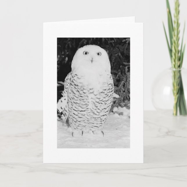 Carte de Noël personnalisée Jours fériés Chouette  (Devant)