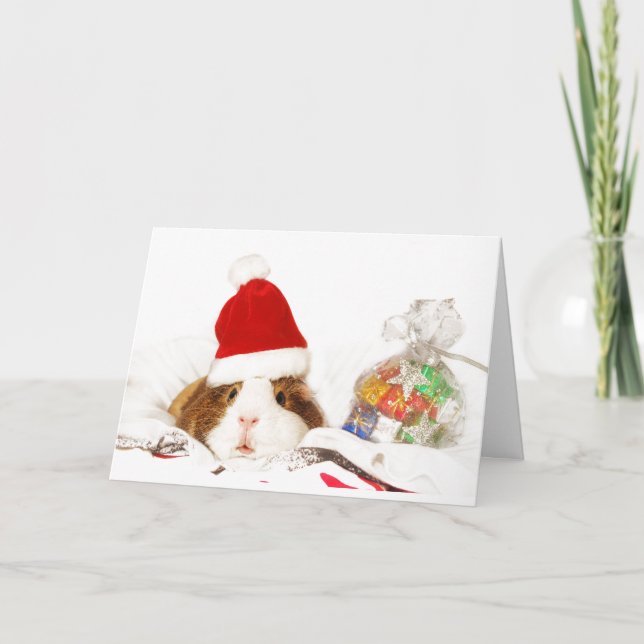CARTE DE NOËL PERSONNALISÉE PIG GUINEE AVEC SANTA  (Devant)