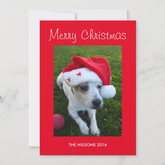 Carte de Noël personnalisée pour chien (Devant)