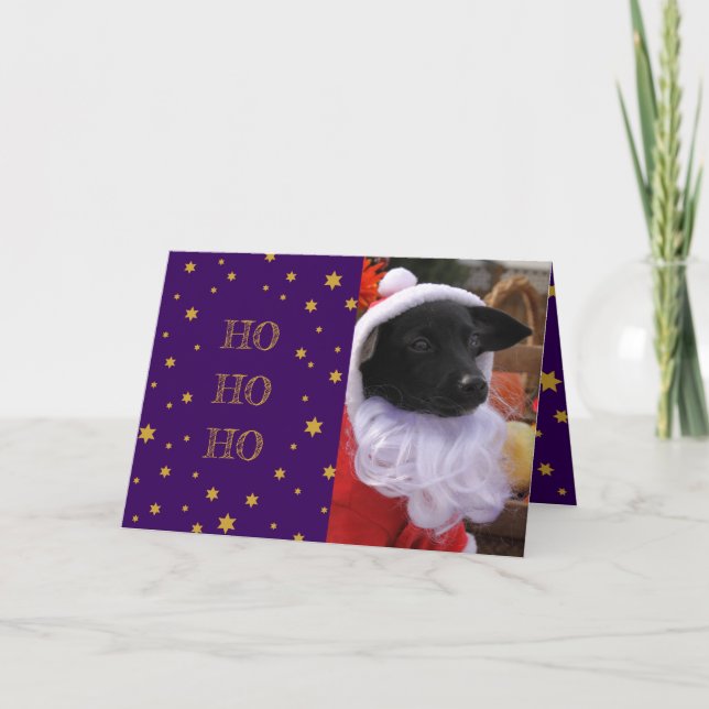 Carte de Noël photo chien ou ajouter votre propre  (Devant)