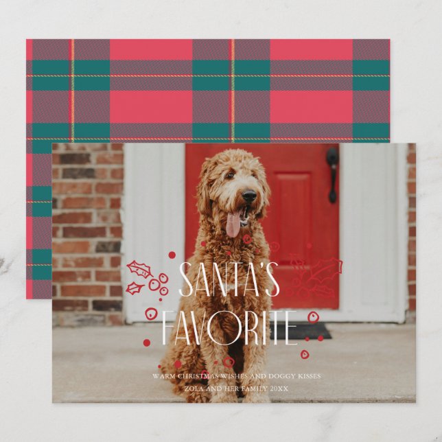 Carte de Noël photo d'animal de compagnie idiot pr (Devant / Derrière)