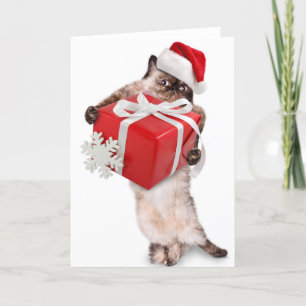 Carte de Noël pliée PÈRE NOËL CAT AVEC CADEAU