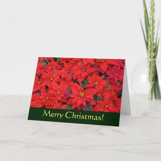 Carte de Noël Poinsettias Rouge (Vierge à l'intéri (Devant)