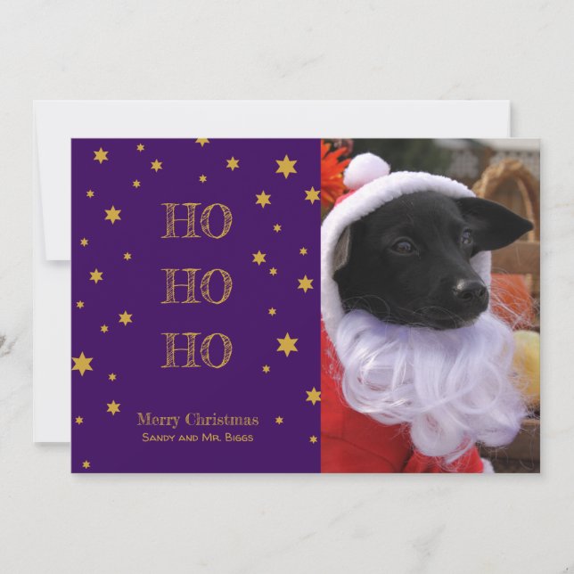 Carte de Noël pour animaux de compagnie personnali (Devant)