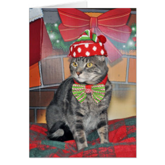 Carte de Noël pour chat gris
