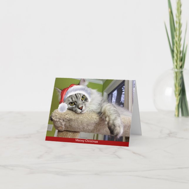 Carte de Noël pour chats de Sibérie (Devant)