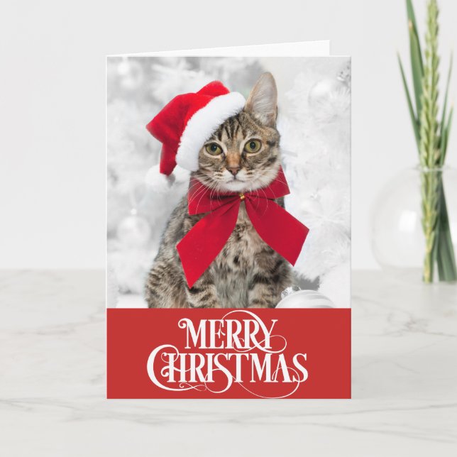 Carte de Noël pour chien de chat (Devant)