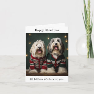 Carte de Noël pour chiens de mouton anglais