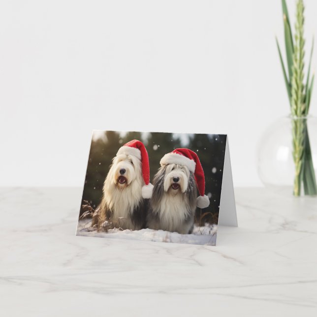 Carte de Noël pour chiens de mouton anglais (Devant)