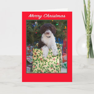Carte de Noël pour chiot Labradoodle
