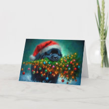 Carte de Noël pour l'aide de Terre-Neuve pour les