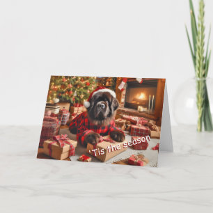 Carte de Noël pour l'enlèvement de chiens de Terre