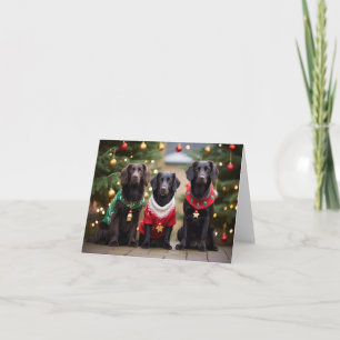 Carte de Noël pour les récupérateurs à revêtement