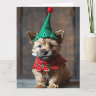 Carte de Noël pour marionnettes Norwich Terrier El