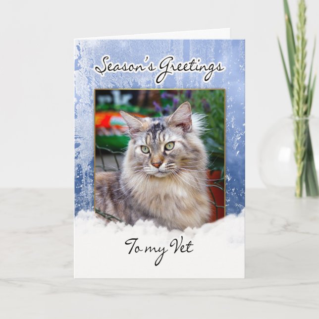 Carte de Noël pour vétérinaire - carte de Noël pou (Devant)