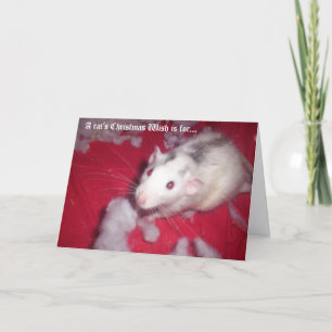 Carte de Noël POUR vos rats de compagnie!