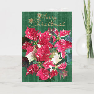 Carte de Noël religieuse de poinsettia de sucre de