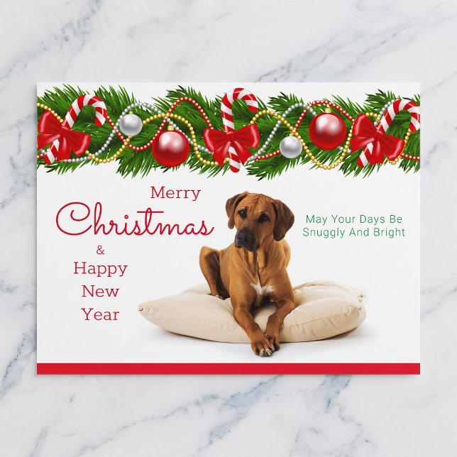 Carte de Noël Rhodesian Ridgeback (Rhodesian Ridgebacks make the season bright.)