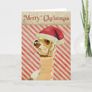 Carte de Noël rose Alpaca