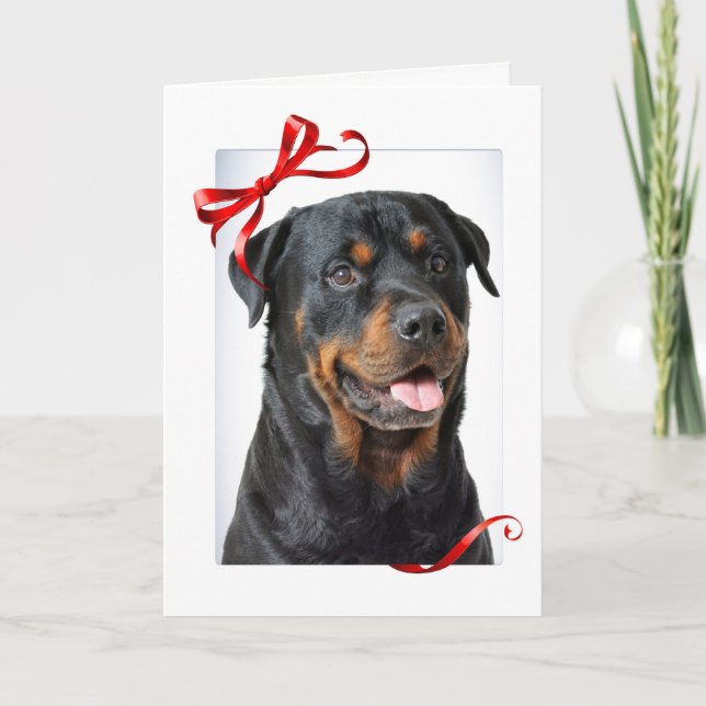 Carte de Noël Rottie (Devant)