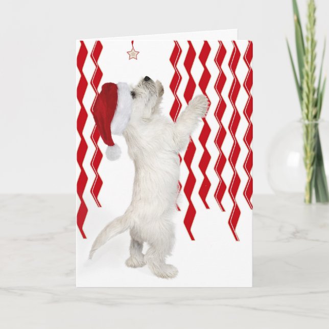 Carte de Noël Rouge, Blanc et Zigzags Westie Pup (Devant)
