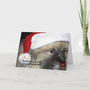 Carte de Noël rouge de Keeshond de nez