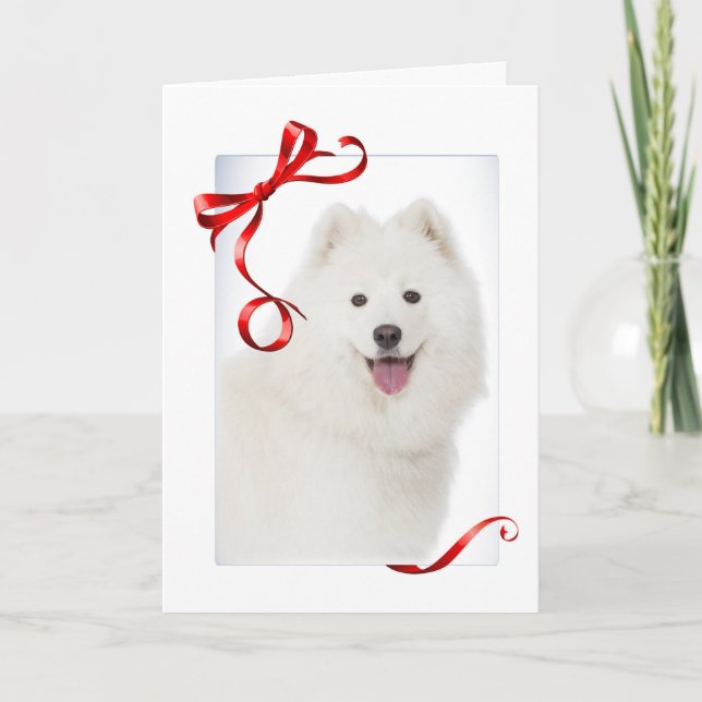 Carte de Noël Samoyed (Devant)