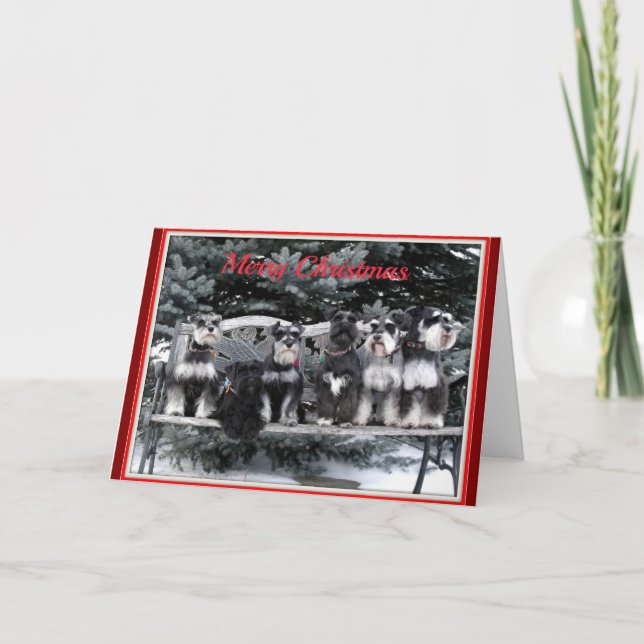 Carte de Noël Schnauzer (Devant)