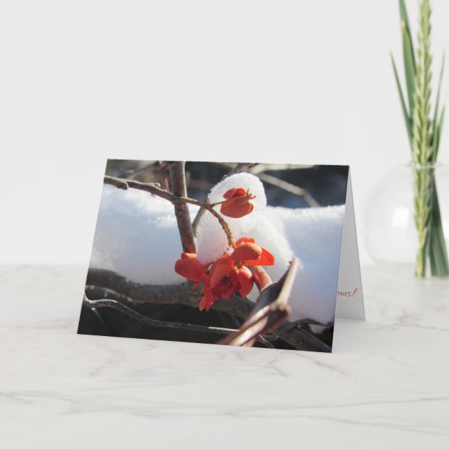 Carte de Noël "Sérénité de l'hibernation" (Devant)