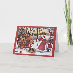 Carte de Noël Shelter Père Noël Ours En Sleigh
